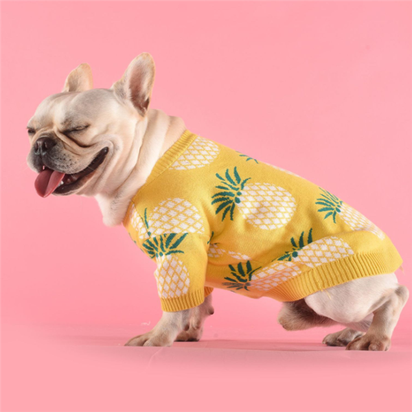 Pull chaud pour chien – Maille premium au design ananas