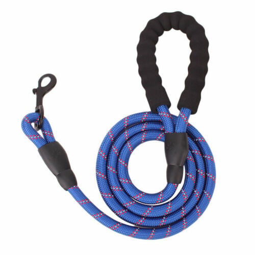 Laisse réfléchissante en nylon tressé pour chien – pour la promenade et le dressage