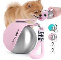 Gourde d’eau portable pour chien avec bol de voyage en acier inoxydable