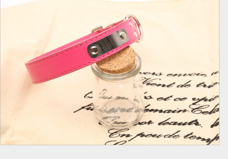 Collier Personnalisé pour Chien