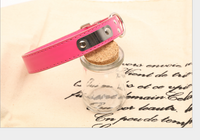 Collier Personnalisé pour Chien