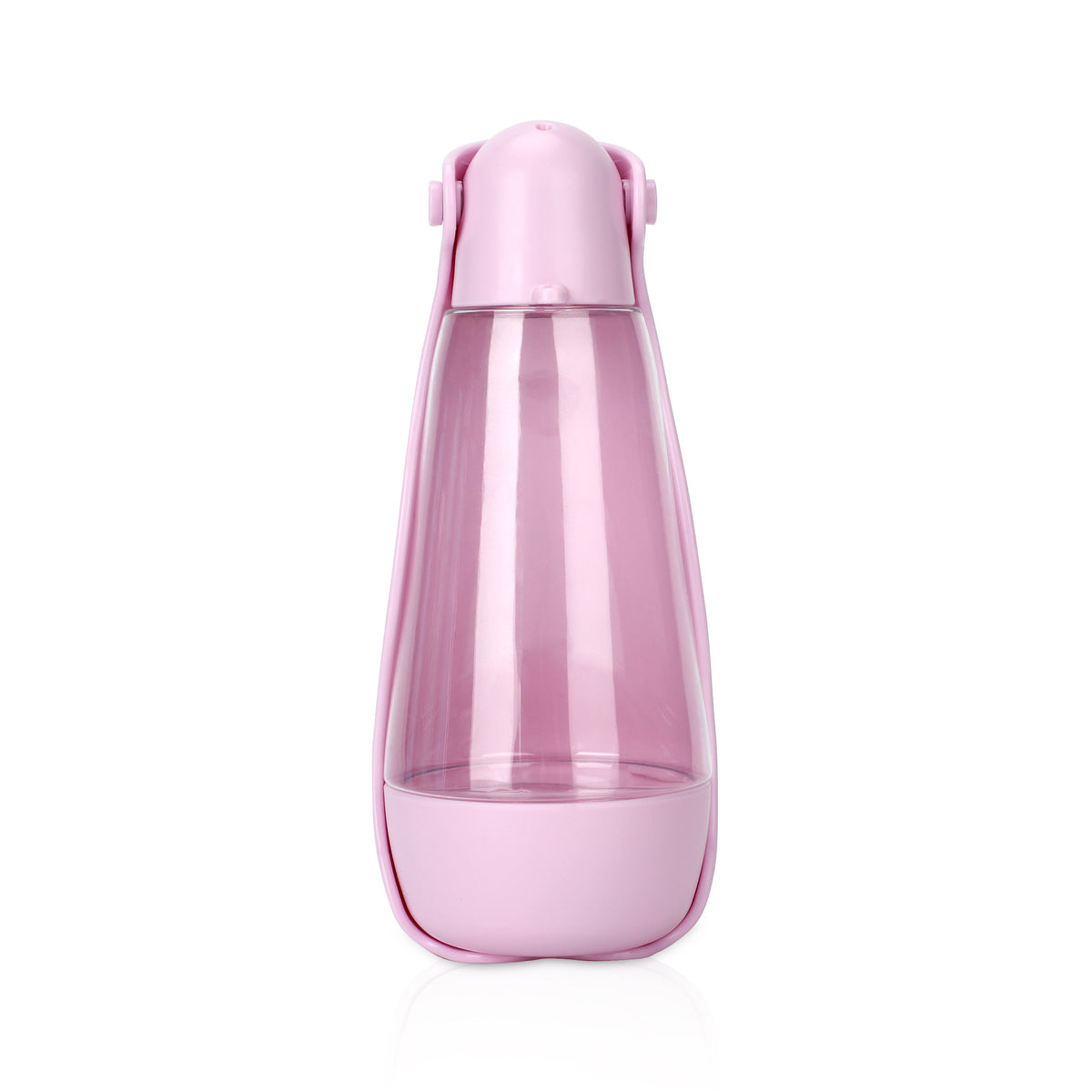 Bouteille Portable pour Chien et Chat