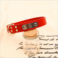 Collier Personnalisé pour Chien