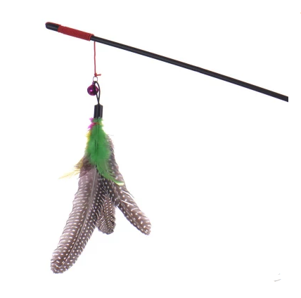 Jouet de qualité pour chat avec design de petit oiseau à plumes mignon