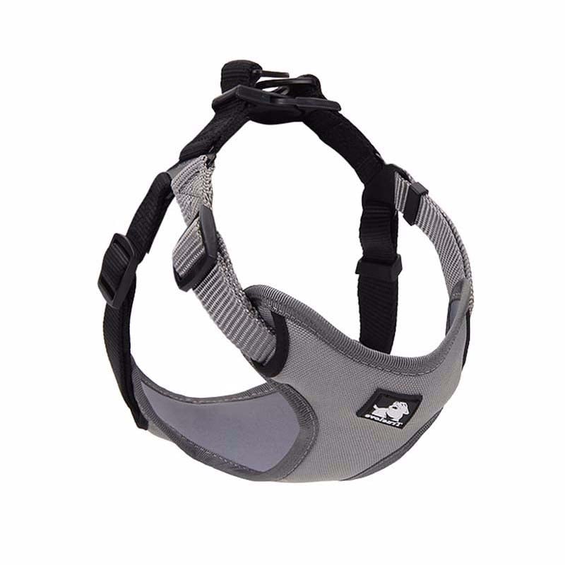 Laisse pour chien avec collier assorti – Ensemble de promenade premium