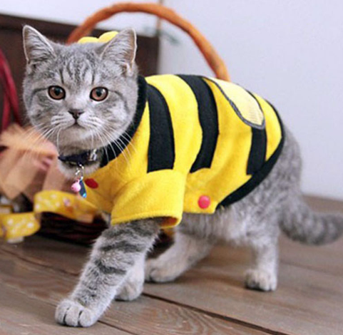 Costume Abeille pour Chat et Chien