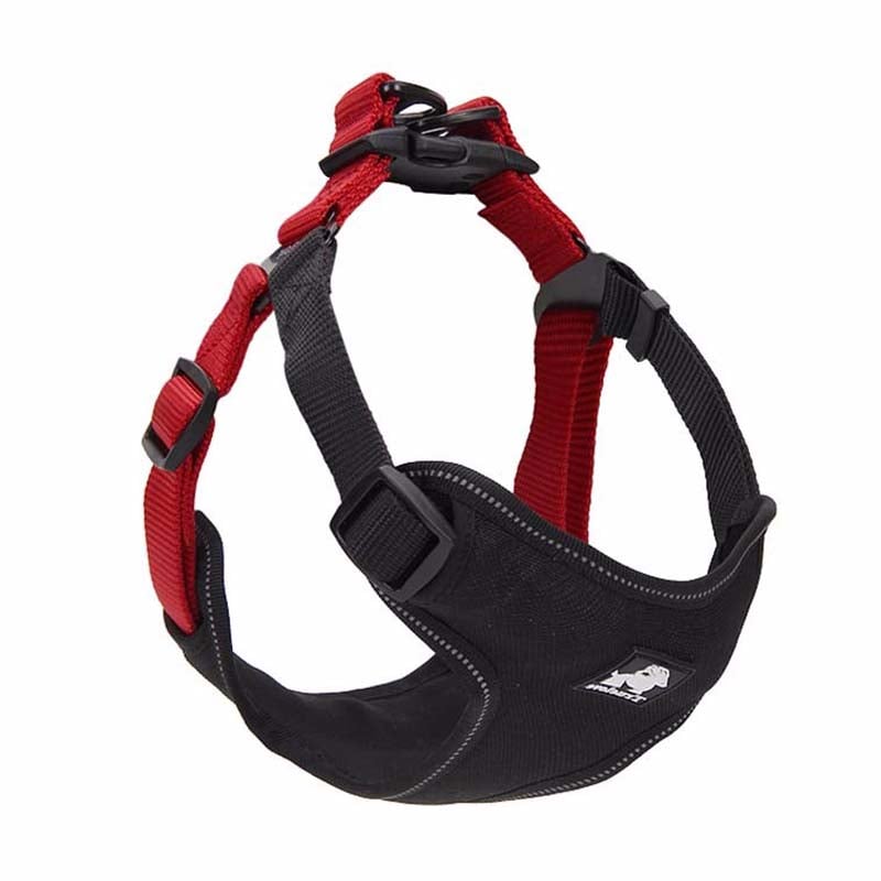 Laisse pour chien avec collier assorti – Ensemble de promenade premium