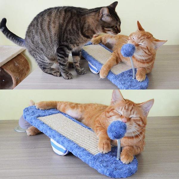 Bascule pour chat avec griffoir pour chatons 🐱