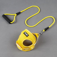 Set laisse et collier pour chiens et animaux de compagnie
