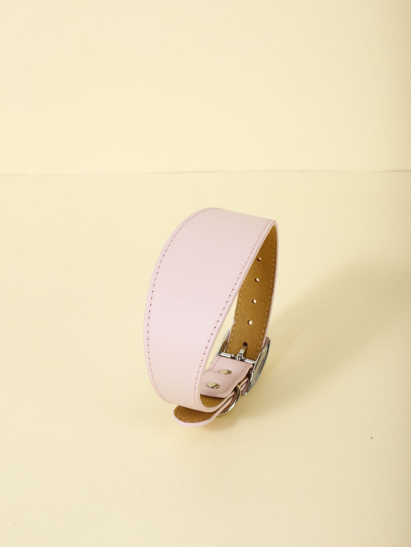Collier Ajustable Décontracté pour Animaux
