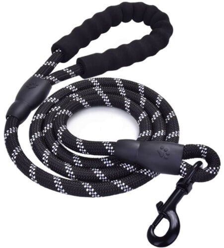 Laisse réfléchissante en nylon tressé pour chien – pour la promenade et le dressage
