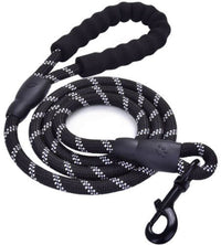 Laisse réfléchissante en nylon tressé pour chien – pour la promenade et le dressage
