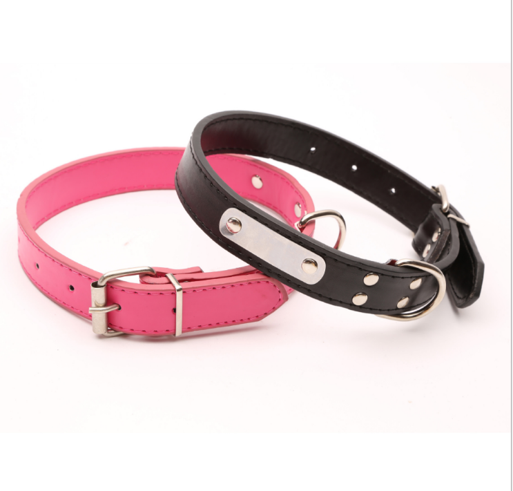 Collier Personnalisé pour Chien
