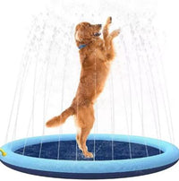 Bassin pliable d’été pour chiens et chats