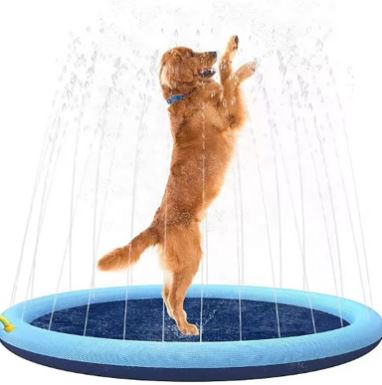 Bassin pliable d’été pour chiens et chats