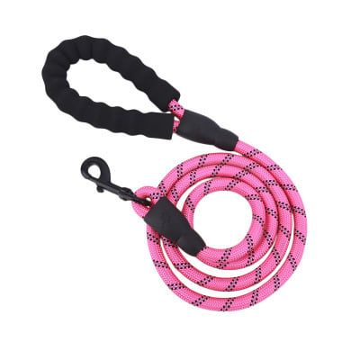 Laisse réfléchissante en nylon tressé pour chien – pour la promenade et le dressage