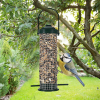 Mangeoire extérieure pour petits oiseaux sauvages