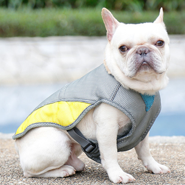 Gilet rafraîchissant d’été pour chien – vêtement respirant pour animaux