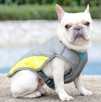 Gilet rafraîchissant d’été pour chien – vêtement respirant pour animaux