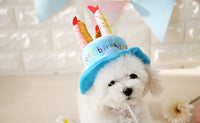 Chapeau gâteau d’anniversaire pour chat et chien