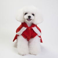Vêtements de Noël simples et tendance pour chiens