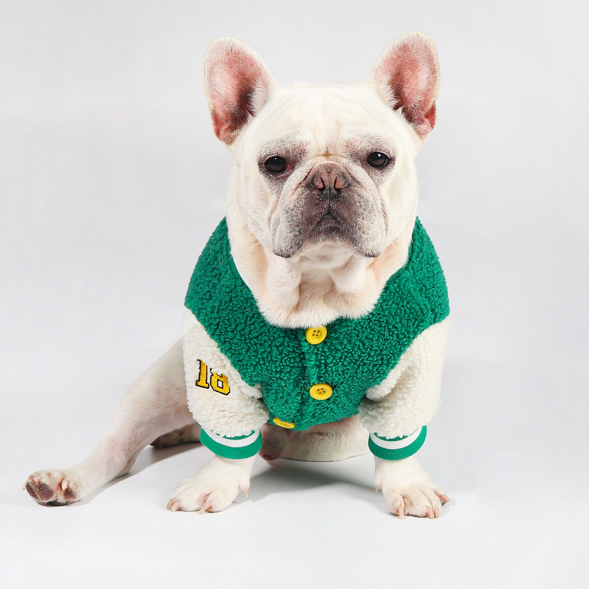 Manteau Hiver Épais pour Chien Style Baseball