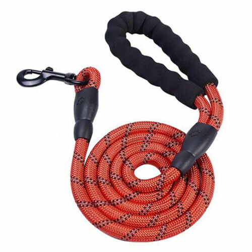 Laisse réfléchissante en nylon tressé pour chien – pour la promenade et le dressage