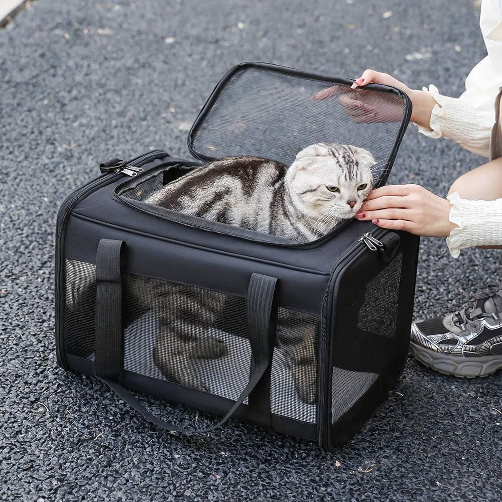 Sac de transport portable pour animaux de compagnie