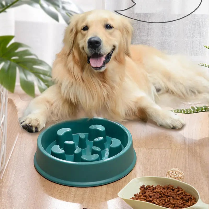 Gamelle Anti-Glouton en Forme de Pétale pour Chien