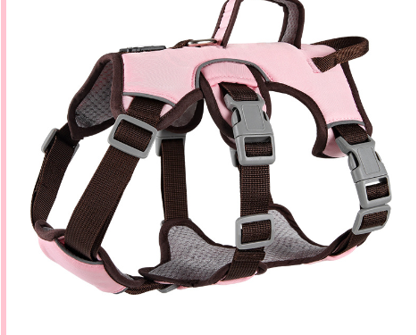 Gilet de Sécurité pour Chien
