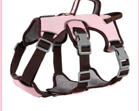 Gilet de Sécurité pour Chien