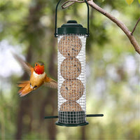 Mangeoire extérieure pour petits oiseaux sauvages