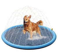 Bassin pliable d’été pour chiens et chats