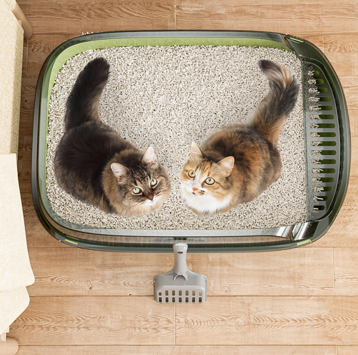 Bac à litière pour chat à parois hautes Gentle Paws™ Jumbo