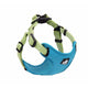 Laisse pour chien avec collier assorti – Ensemble de promenade premium