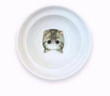 Support de Gamelles Anti-Refoulement pour Chat