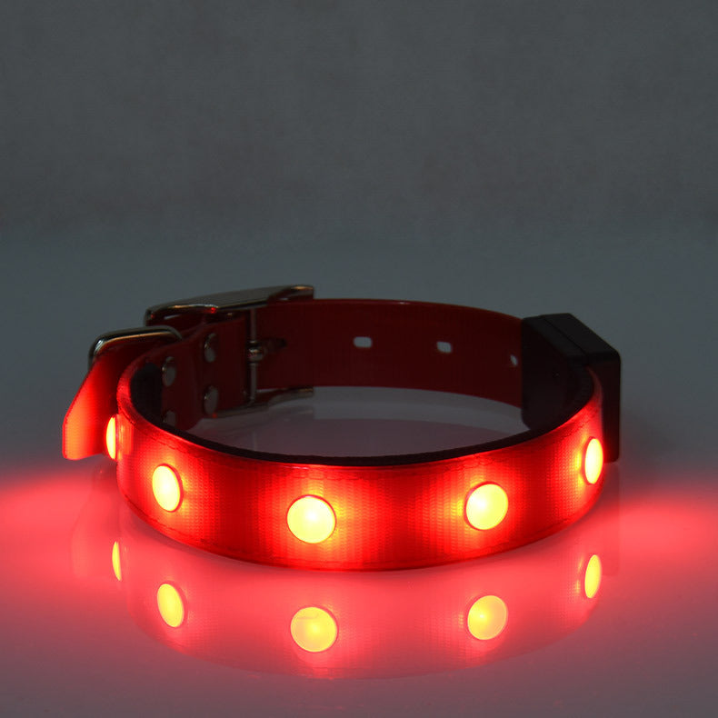 Collier lumineux ajustable et étanche pour animaux de compagnie