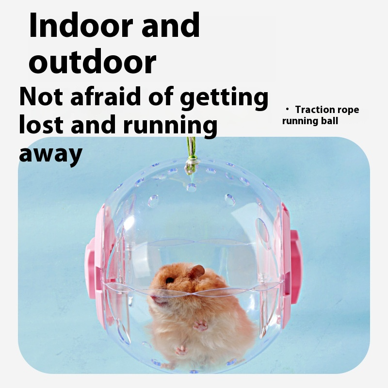 Boule de course d’exercice pour hamster