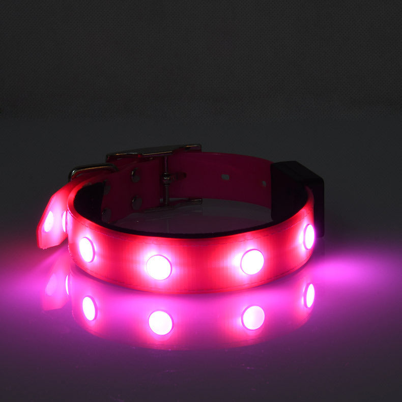 Collier lumineux ajustable et étanche pour animaux de compagnie