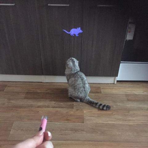 Jouet laser projecteur pour chat – Lampe interactive avec projection de souris