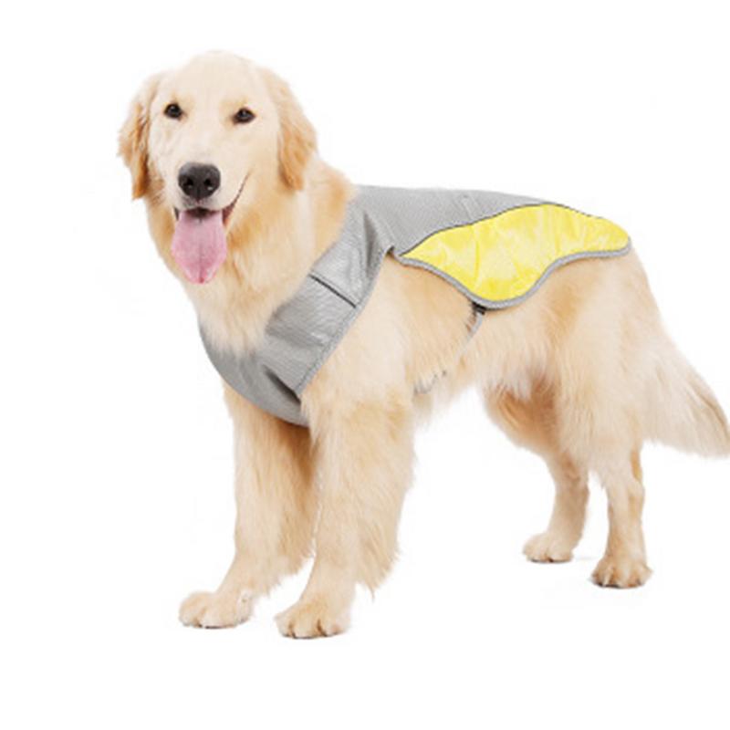 Gilet rafraîchissant d’été pour chien – vêtement respirant pour animaux