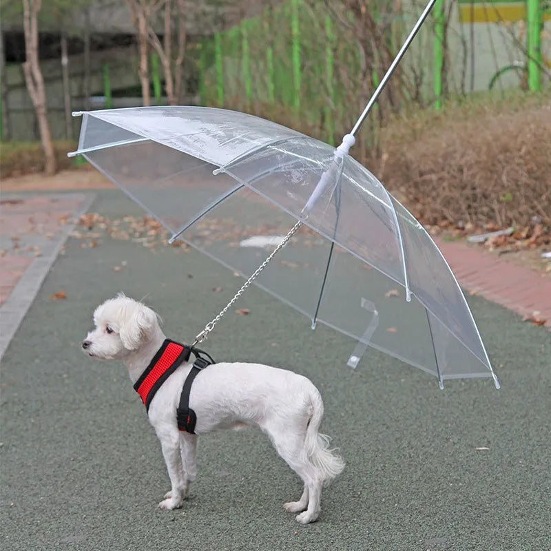 Parapluie pour chien avec laisse intégrée – Protection pluie design premium