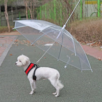 Parapluie pour chien avec laisse intégrée – Protection pluie design premium