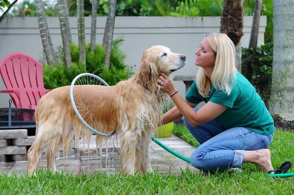 Anneau de douche pour chien avec jet d’eau circulaire intégré