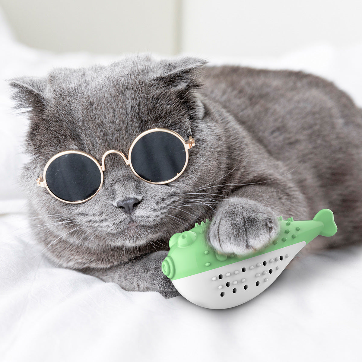 Jouet pour chat en forme de poisson à la menthe avec brosse à dents – soin dentaire