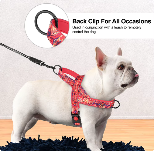 Harnais pour chien sans laisse – Confort et maintien premium