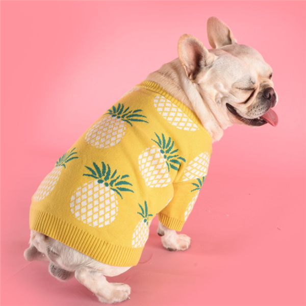 Pull chaud pour chien – Maille premium au design ananas