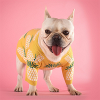 Pull chaud pour chien – Maille premium au design ananas