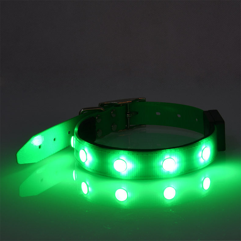 Collier lumineux ajustable et étanche pour animaux de compagnie