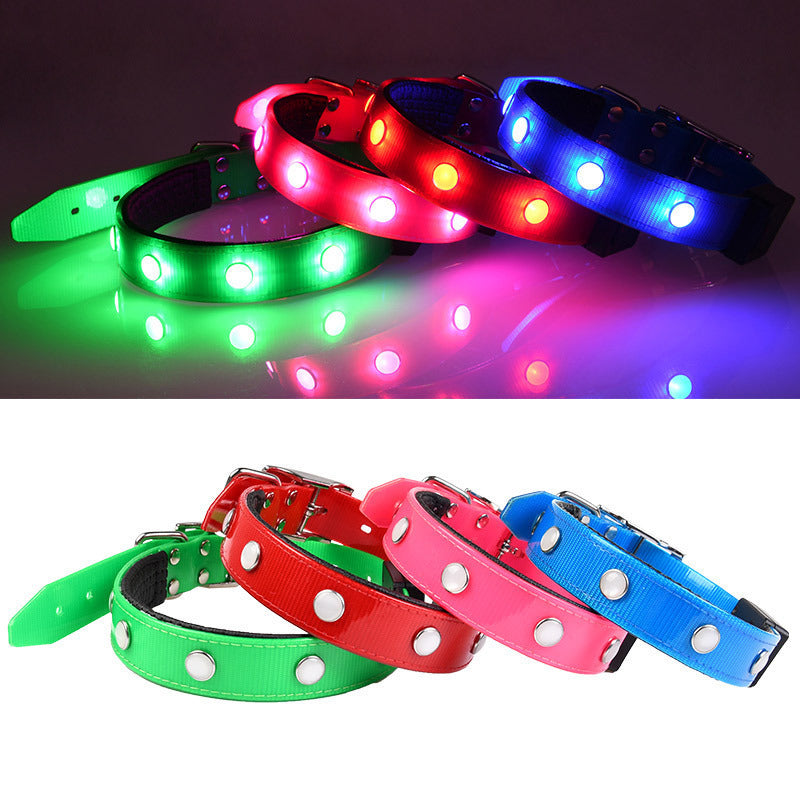 Collier lumineux ajustable et étanche pour animaux de compagnie